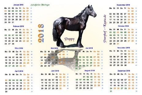 Ponyhof Kalender  2018