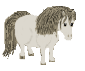 dünnes Pony